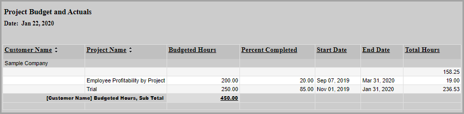 Project budget report